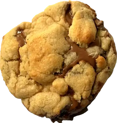 Salted Swiss chocolate cookie with pools of melted milk chocolate